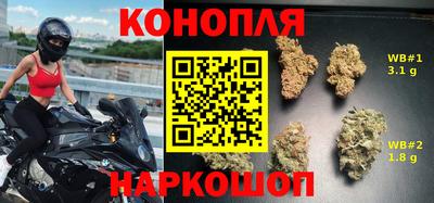 индика Заводоуковск