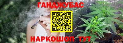 индика Заводоуковск
