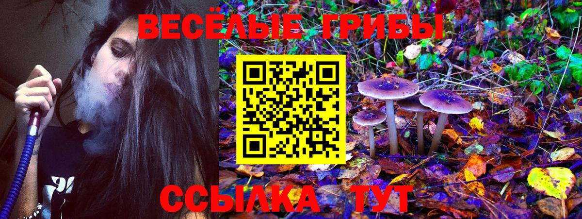 Псилоцибиновые грибы MAGIC MUSHROOMS Вологда