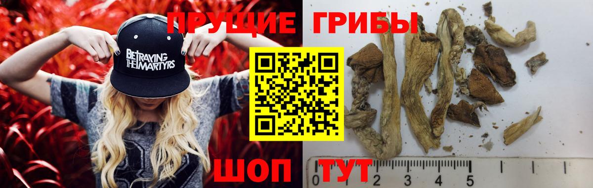 где продают   Вход с VPN  Вологда  Галлюциногенные грибы прущие грибы 