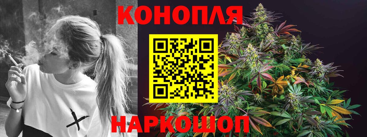 Бошки марихуана план  Канабис Ganja  Вход с VPN  Шишки марихуана Amnesia  Вологда  Конопля сатива 
